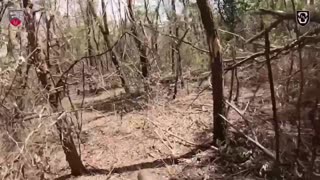 Russian Refuses to Surrender and Makes a Break for It Instead