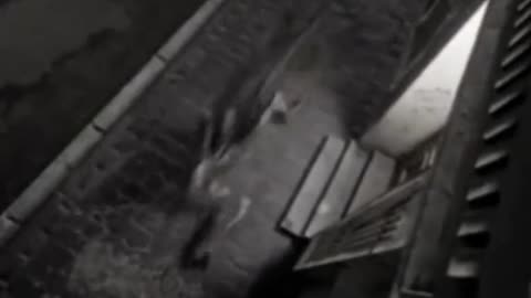 😨👻 What is That Figure Lurking in the Dark? | TheHauntingHour