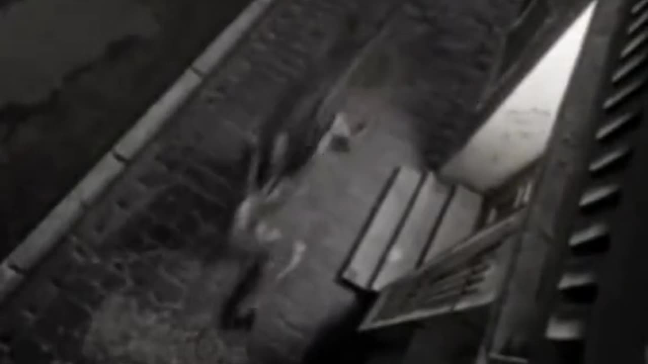 😨👻 What is That Figure Lurking in the Dark? | TheHauntingHour