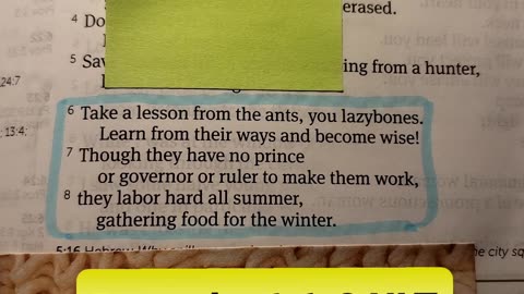 Take a lesson from the ants, you lazybones. Learn from their ways and become wise!