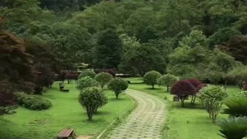 Zhangjiajie