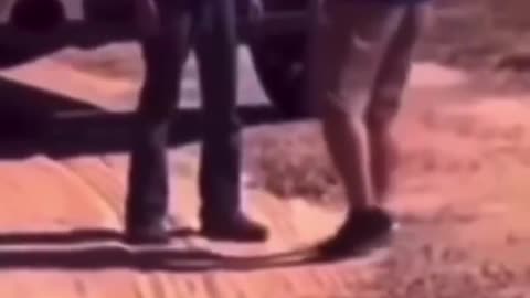 Pedo belting