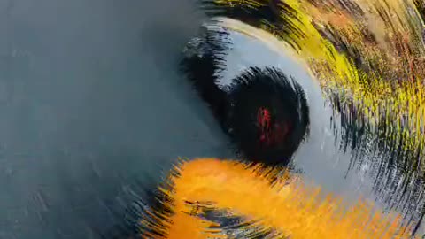 💨✨ Experience the BEST of Oman's Exotic Cars! | LuxurySportsCars