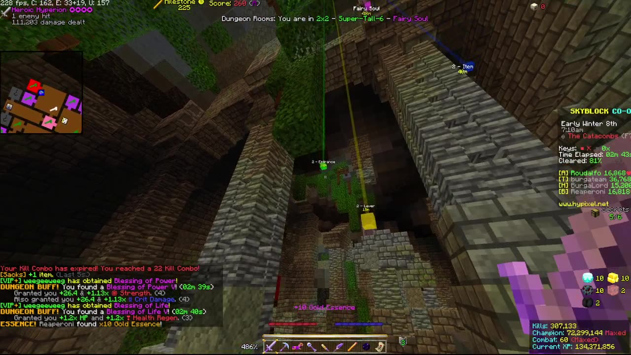 Skyblock FLOOR 7 [#2177]