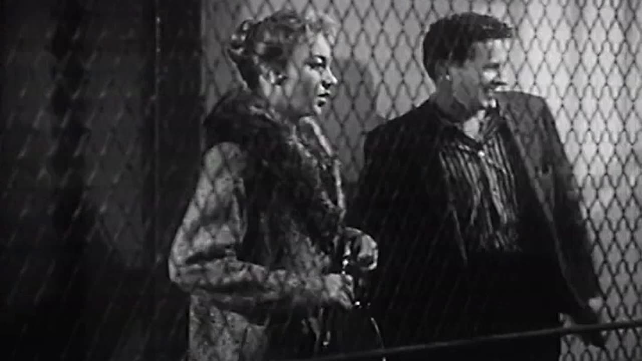 22) «Разумное сомнение» / «Reasonable Doubt»