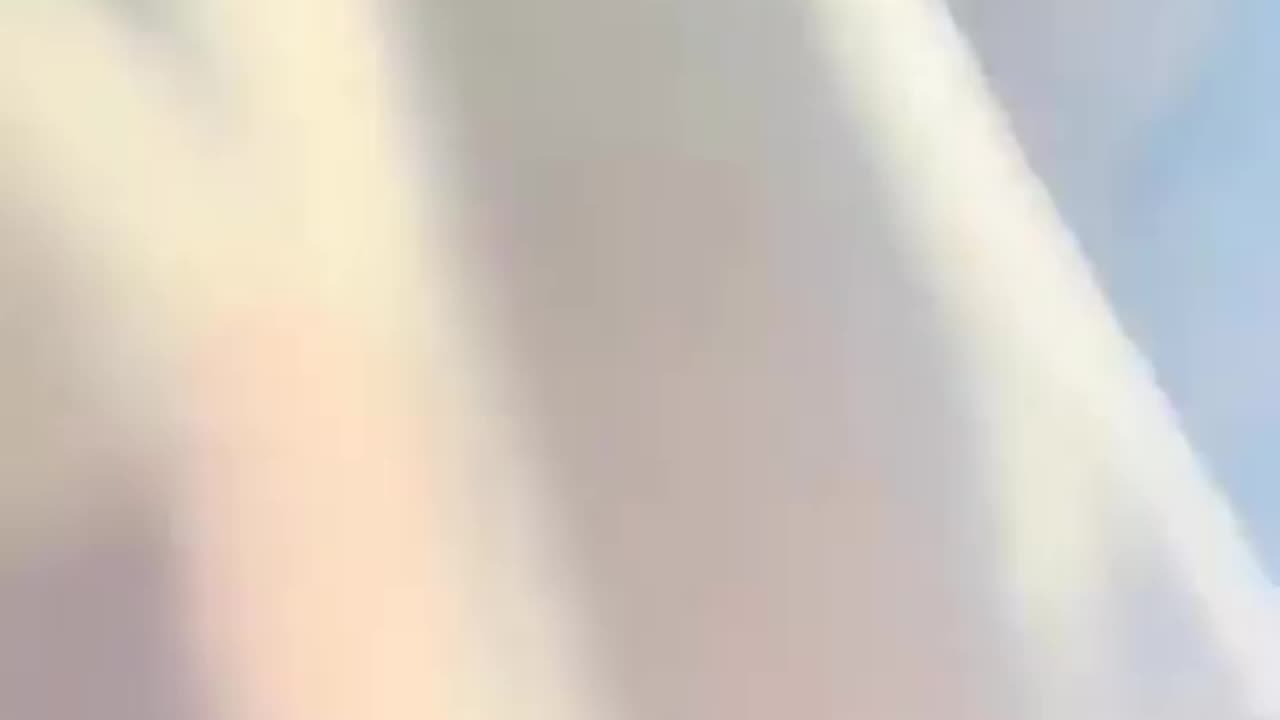 U.S. citizen being dragged out of their car and abducted by ICE