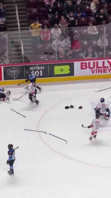 A full brawl broke out at an AHL intermission youth game hockey game