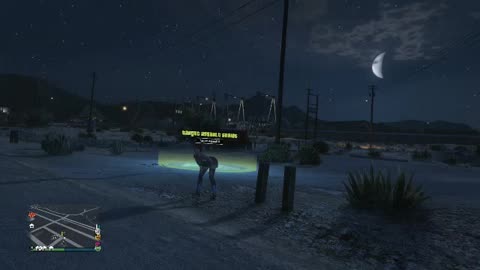 What the hookers and strippers do in GTAV-Date 6/7/2018