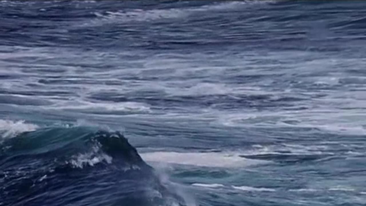 as melhores dancinhas de tiktpok.mp4