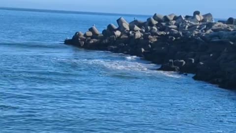 Relax and Breathe Deep