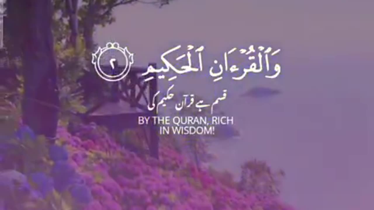 Jazakallah ♥️✨🕊️