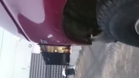 NYC Migrant Driving while not sober #ridesafer #fakecommute #streetpass #pedestria