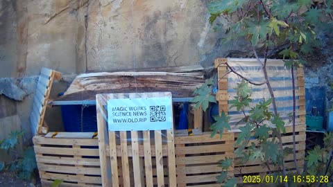 250114A___Madeira_NS-404,_in_cave_still_dripping.(1080p)