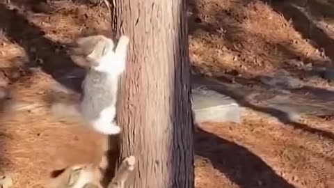 Mother and child, just love and care