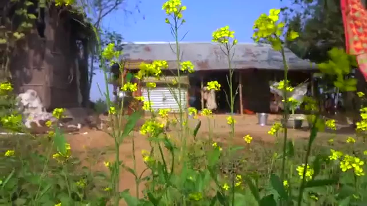 Village Famous Unity Chicken Curry