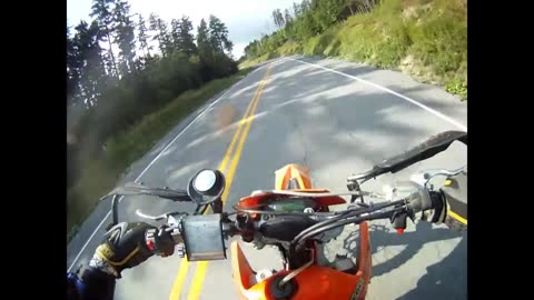 Deer Survives Motorcycle Smash #ThrowbackThursday