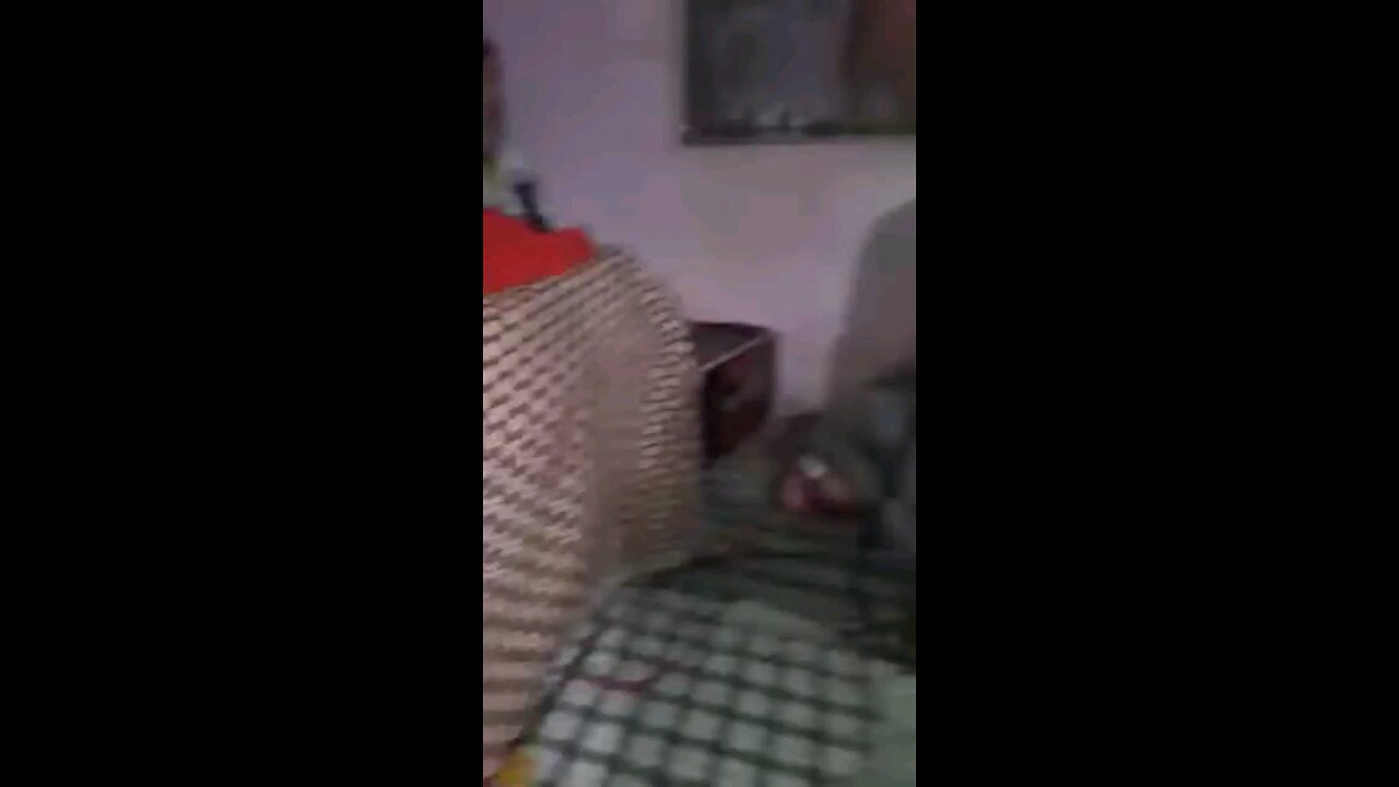 satisfying Video
