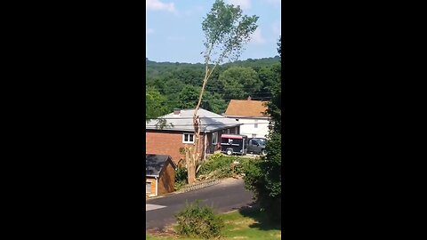 When cutting trees down goes wrong!