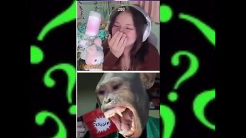 Gypsy Crusader clip 113