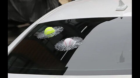 The Amazing 3D Car Window Sticker