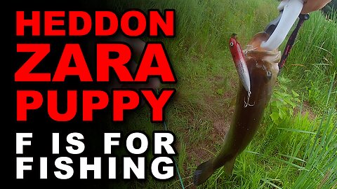 Heddon Zara Puppy