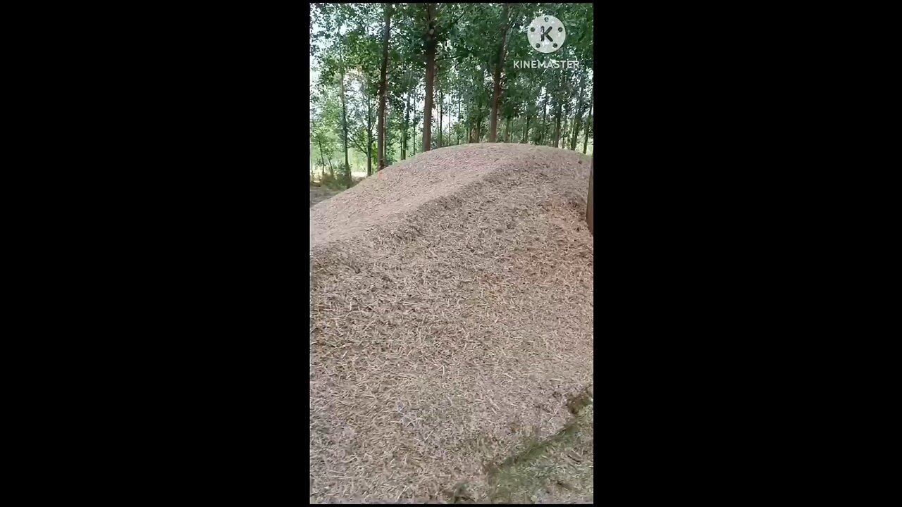 satisfying Video