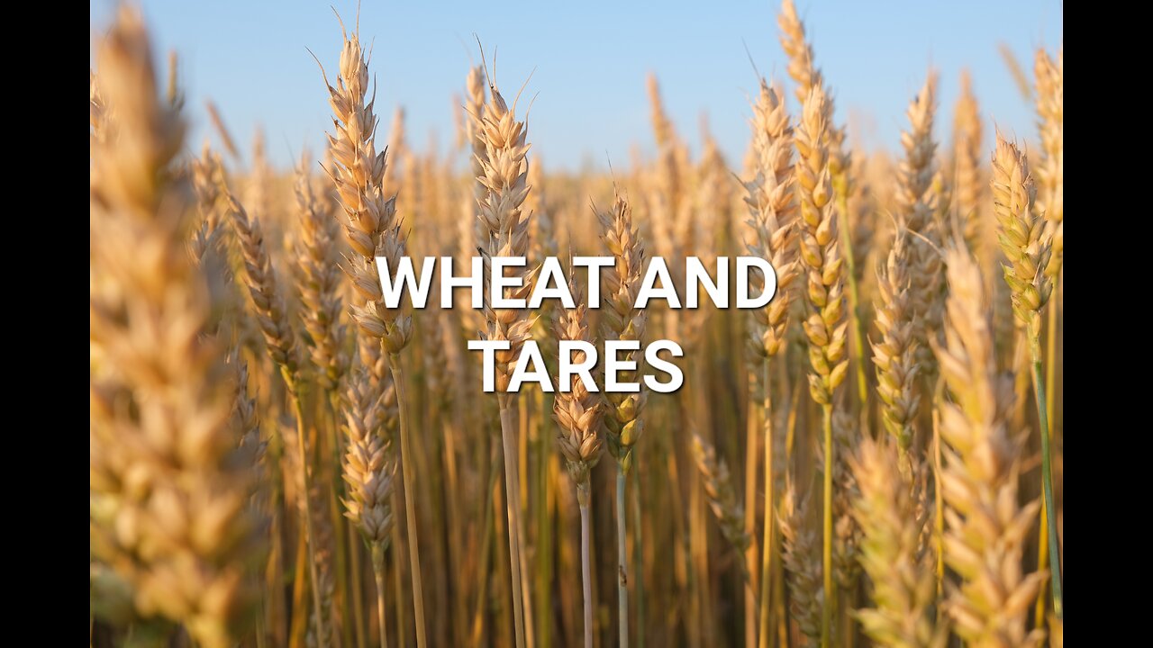 Parables Of Jesus: Wheat and Tares