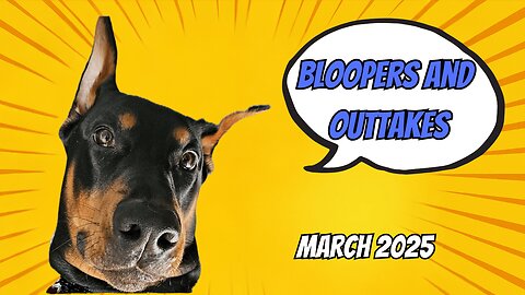 Funniest of March 2025: VaderTheDobie Edition