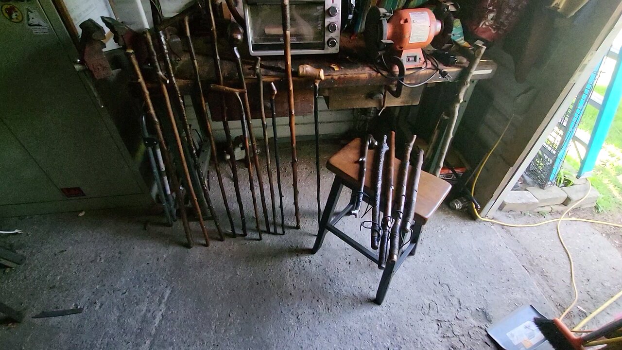 SO MANY STICKS!! #shilleglagh #cudgel