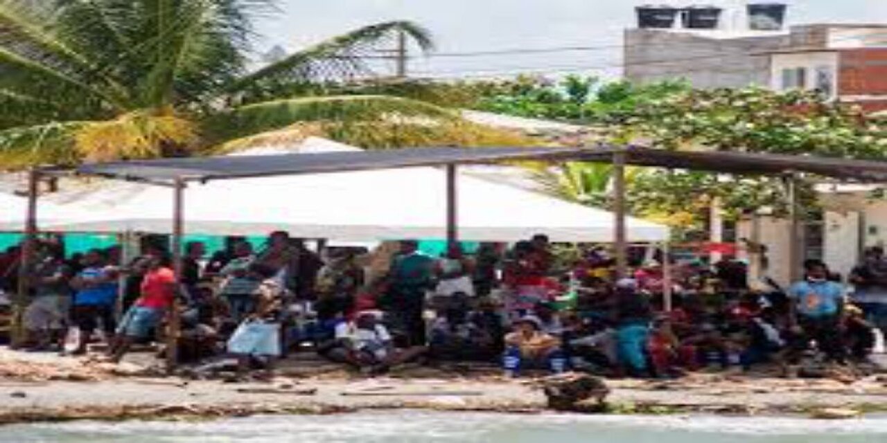 DHS NBC Report on Detained Illegals Starving Fake News