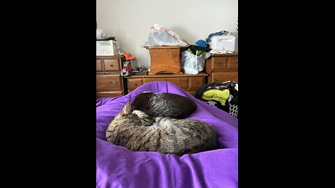 Yikes! They are at it again!!