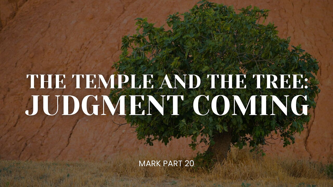 Mark, Pt 20 - The Temple & The Tree: The Judgement