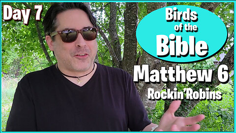 Day 7 - Birds of the Bible: Matthew 6 - Fledgling Robin Watching