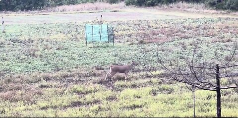 First Sit of 2024 Deer Season