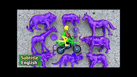cleaning lion horse buffalo bear dinosaur elephant giraffe frog goat ant