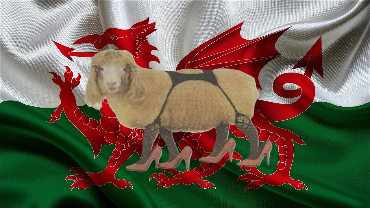 #fake, #brit, just remember who they are fighting for,