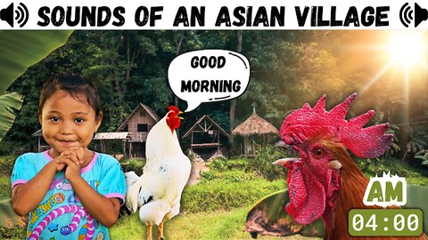 Morning Nature Ambience – Real Asian Village Sounds with Black Screen