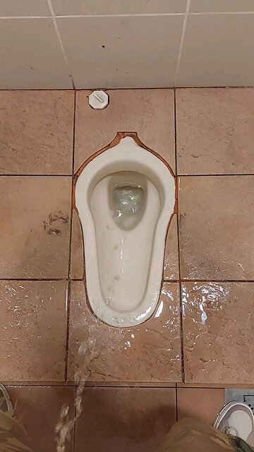 Peeing in a Squat Toilet