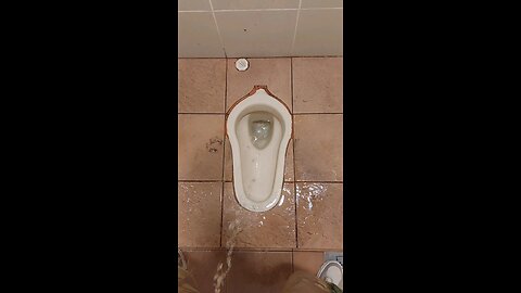 Peeing in a Squat Toilet