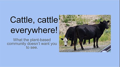 EP34 - Cattle - what the plant-based community doesn't want you to see.