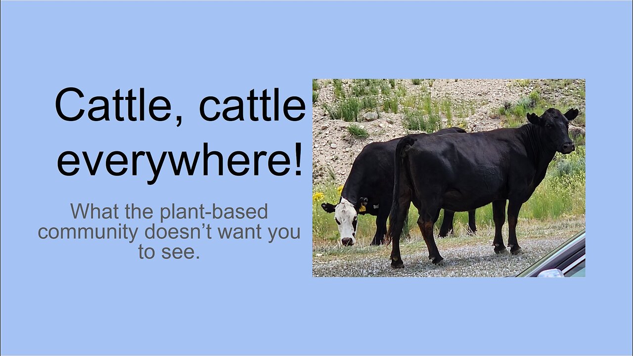 EP34 - Cattle - what the plant-based community doesn't want you to see.
