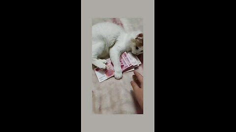 सारे मेरे है