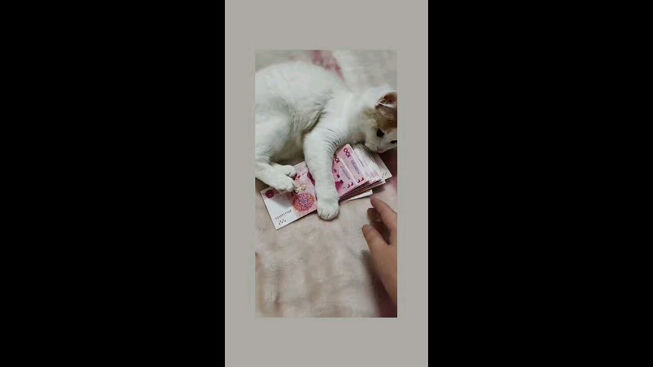 सारे मेरे है