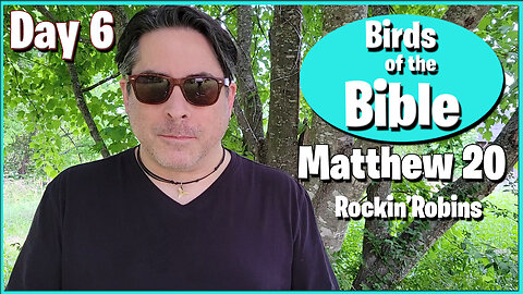 Day 6 - Birds of the Bible: Matthew 20 - Fledgling Robin Watching