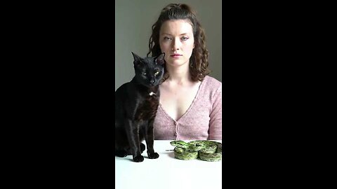 Cat Reaction to Our New Pet Snake!