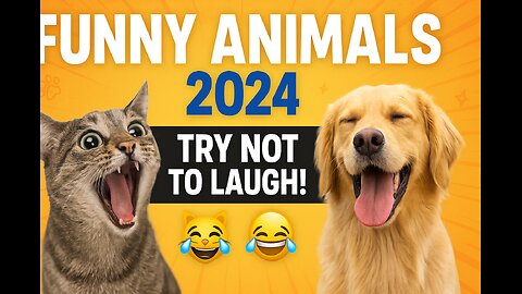 "Funny Animals 2024 🐶😂 Pet Fails You Can’t Miss!"