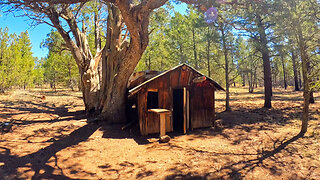 Offroad to the Tree Cabin: My Ebike Adventure Begins!
