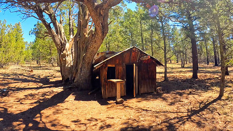 Offroad to the Tree Cabin: My Ebike Adventure Begins!
