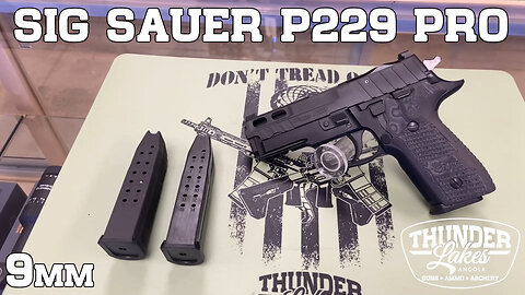 Sig Sauer P229 Pro in 9mm - Preview