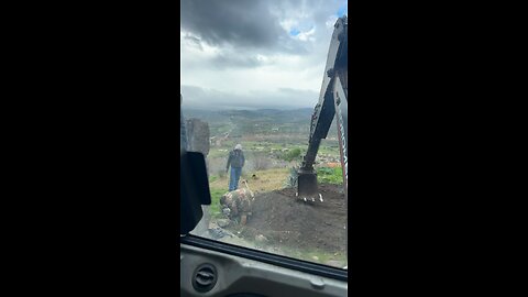 Joke video